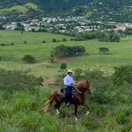 Vaquero01